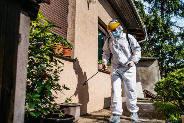 Best Rat Extermination Near Me  in Carnation, WA