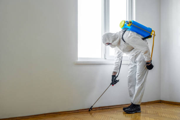 Best Local Pest Control Services  in Carnation, WA