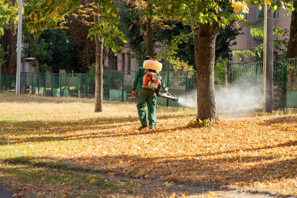 Bird Control in Carnation, WA