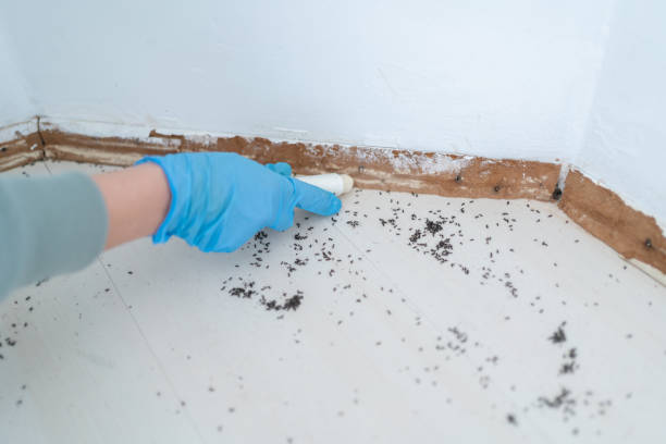 Best Commercial Pest Control Services  in Carnation, WA